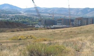 How many cranes in this pictures?