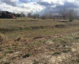 Photo by Bruce Baker.