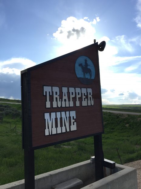 IMG_8070-e1470314117966-465x620